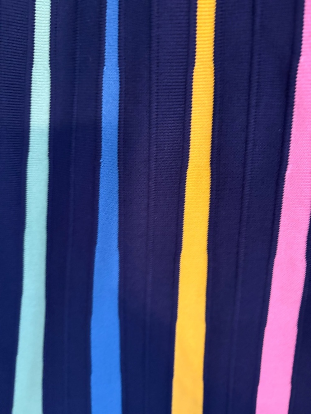 Anthropologie Women's Navy Pleated Maxi Skirt with Yellow, Pink & Green Stripes - Picture 2 of 4